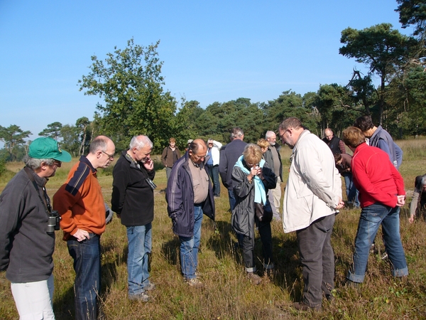 Strijbeekse heide 23