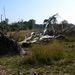 Strijbeekse heide 31
