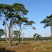 Strijbeekse heide 32