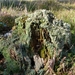 Strijbeekse heide 34