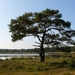Strijbeekse heide 37