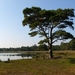 Strijbeekse heide 38