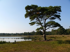 Strijbeekse heide 38