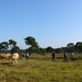 Strijbeekse heide 46