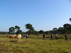 Strijbeekse heide 46