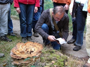 Strijbeekse heide 49