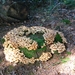 Strijbeekse heide 53