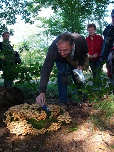 Strijbeekse heide 54