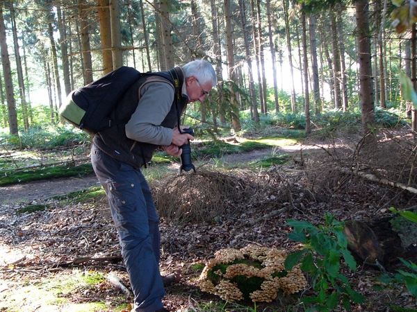 Strijbeekse heide 57