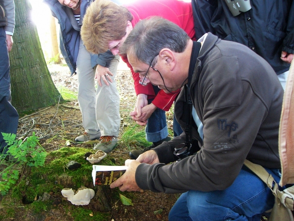 Strijbeekse heide 59