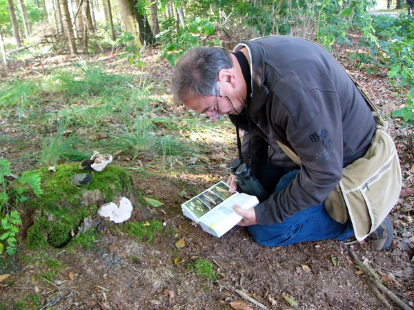 Strijbeekse heide 60