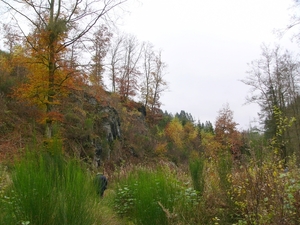 P1170651