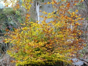 P1170652