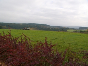 P1170665