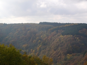 P1170678