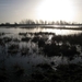 TIENGEMETEN JAN 2009 DEN BUNT 007