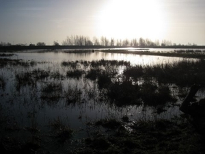 TIENGEMETEN JAN 2009 DEN BUNT 007
