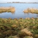 TIENGEMETEN JAN 2009 DEN BUNT 017