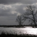 TIENGEMETEN JAN 2009 DEN BUNT 034