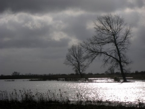 TIENGEMETEN JAN 2009 DEN BUNT 034