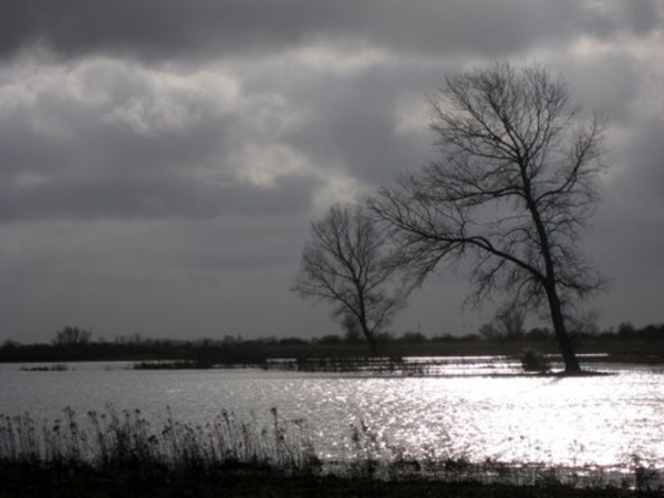TIENGEMETEN JAN 2009 DEN BUNT 034