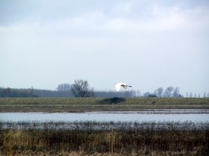 P1180276