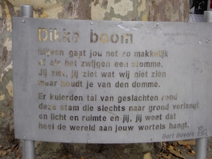 Bergen op Zoom Minolta 001