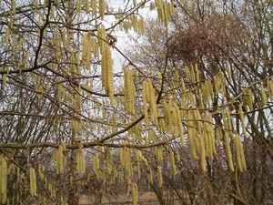 jenever tocht 026