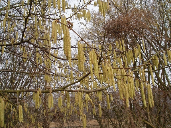 jenever tocht 026