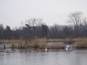 jenever tocht 037