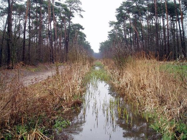 Ontbijtwandeling 033