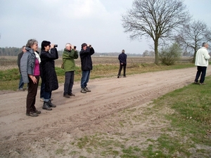 Turnhouts vennengebied 009
