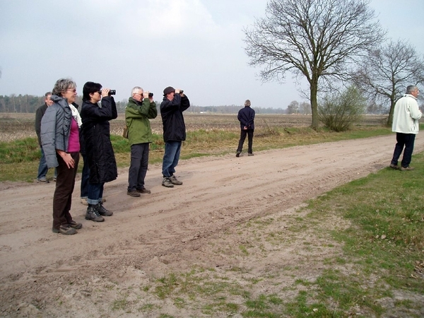 Turnhouts vennengebied 009