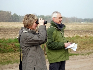 Turnhouts vennengebied 010
