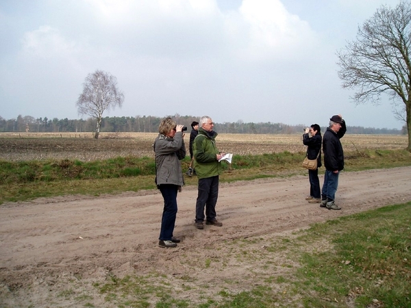 Turnhouts vennengebied 011