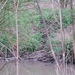 vuursteen en mergel 005