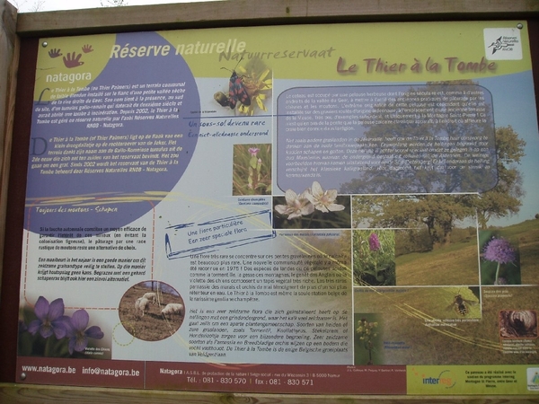 vuursteen en mergel 009