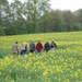 vuursteen en mergel 010