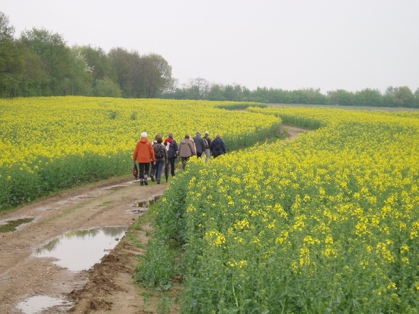 vuursteen en mergel 011
