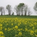 vuursteen en mergel 012