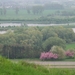 vuursteen en mergel 013