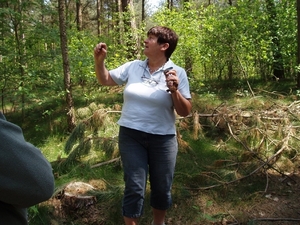 Looiendse bossen 017