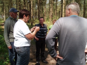 Looiendse bossen 018