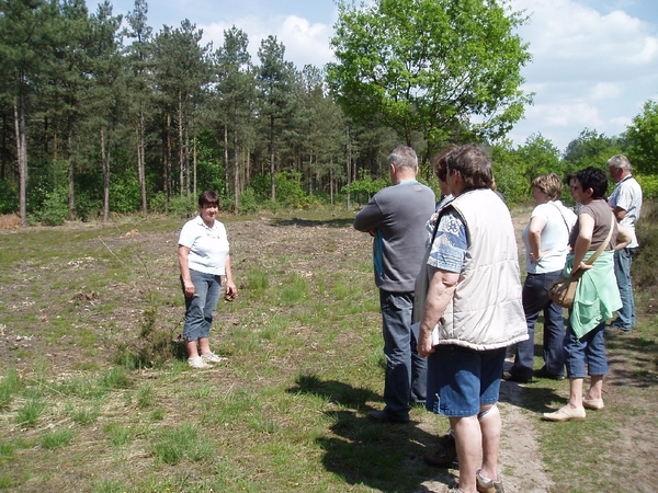 Looiendse bossen 019