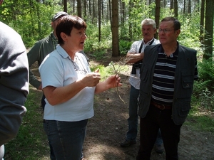 Looiendse bossen 022