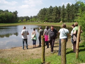 Looiendse bossen 023