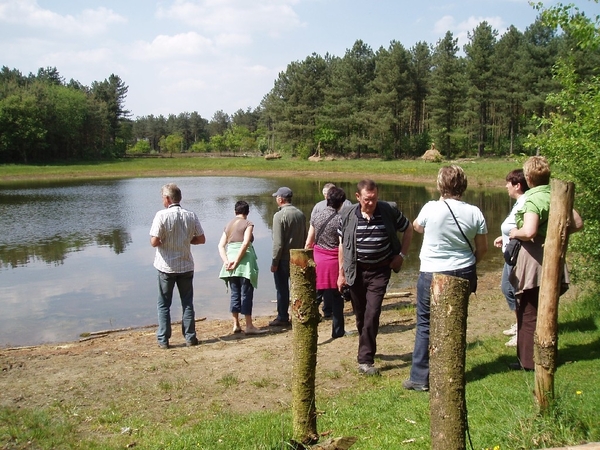 Looiendse bossen 023