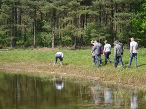 Looiendse bossen 024