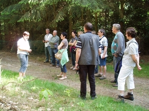 Looiendse bossen 026