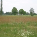 Looiendse bossen 027